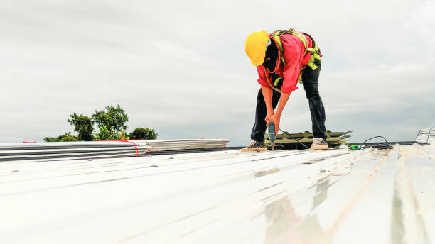 Best Roof Moss and Algae Removal  in Lakemont, PA